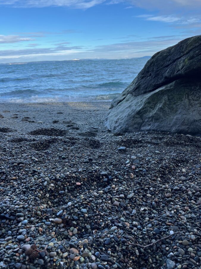 rocky beach